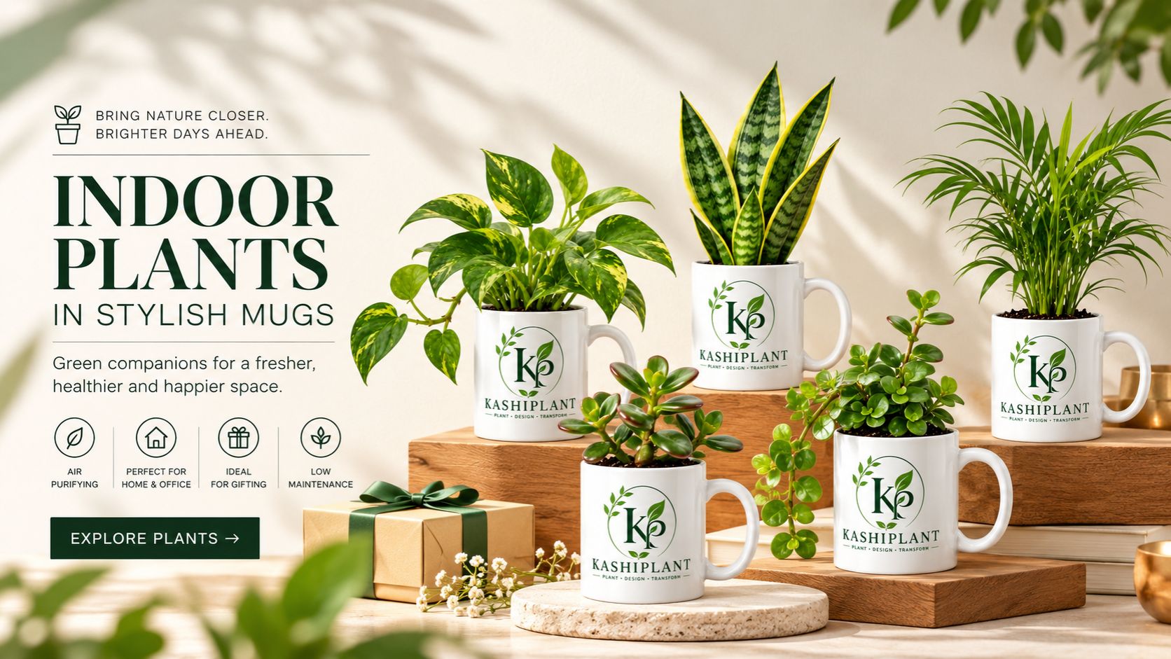 Plants
